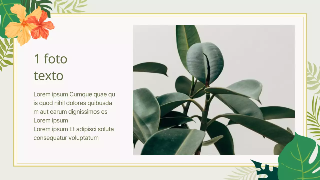 Guía de fondos veraniegos inspirados en la naturaleza en colores chartreuse y rosa