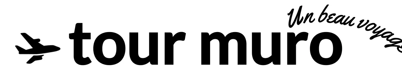 Pour les logos d'agences de voyage avec cursive et silhouettes d'avion