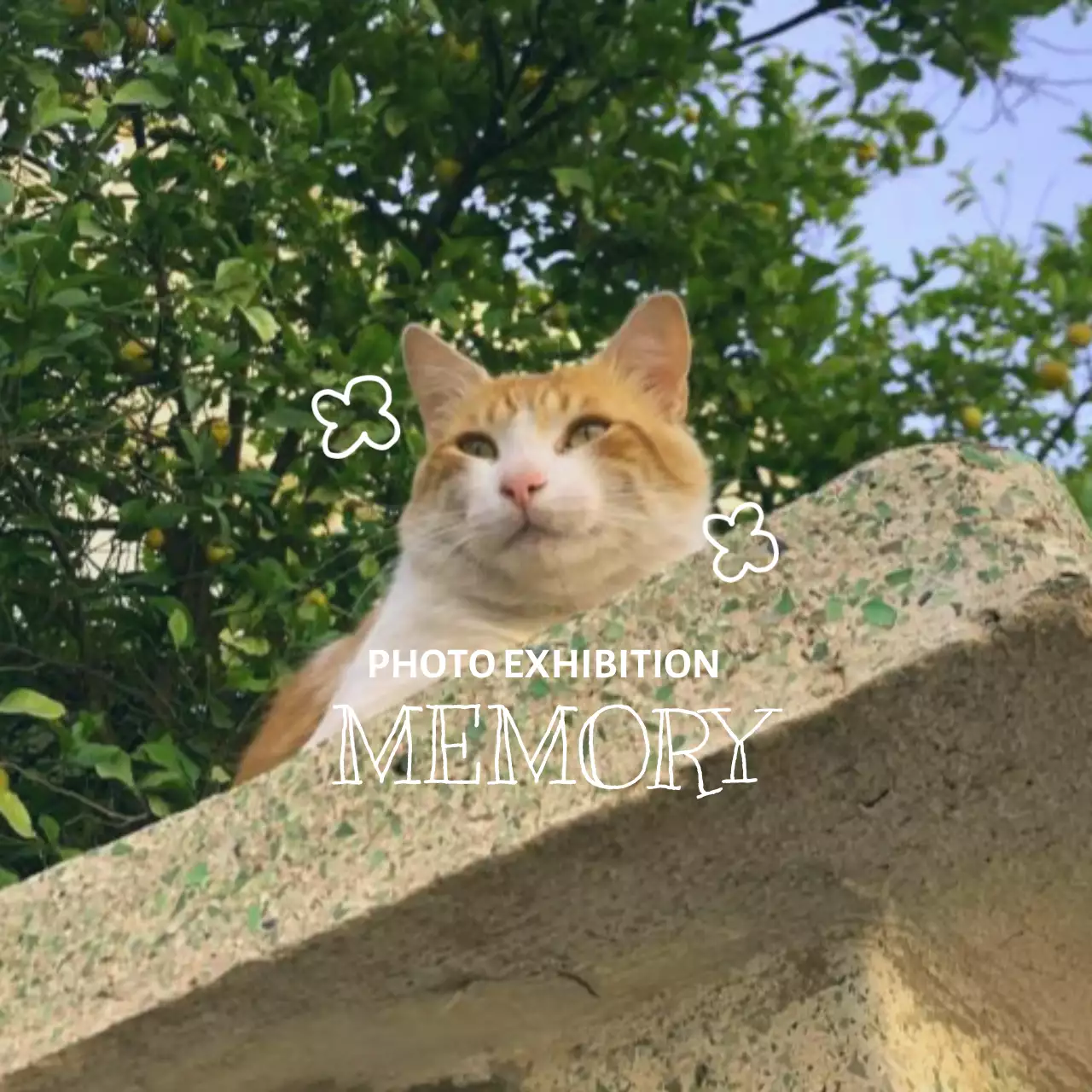 감성적인 사진과 레터링 문구 컨셉의 사진전 전시회 굿즈