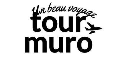 Pour les logos d'agences de voyage avec cursive et silhouettes d'avion
