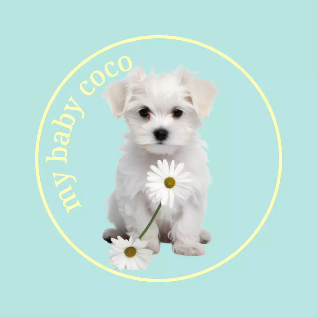 강아지와 고양이 사진이 있는 귀엽고 감성적인 느낌의 개인 굿즈