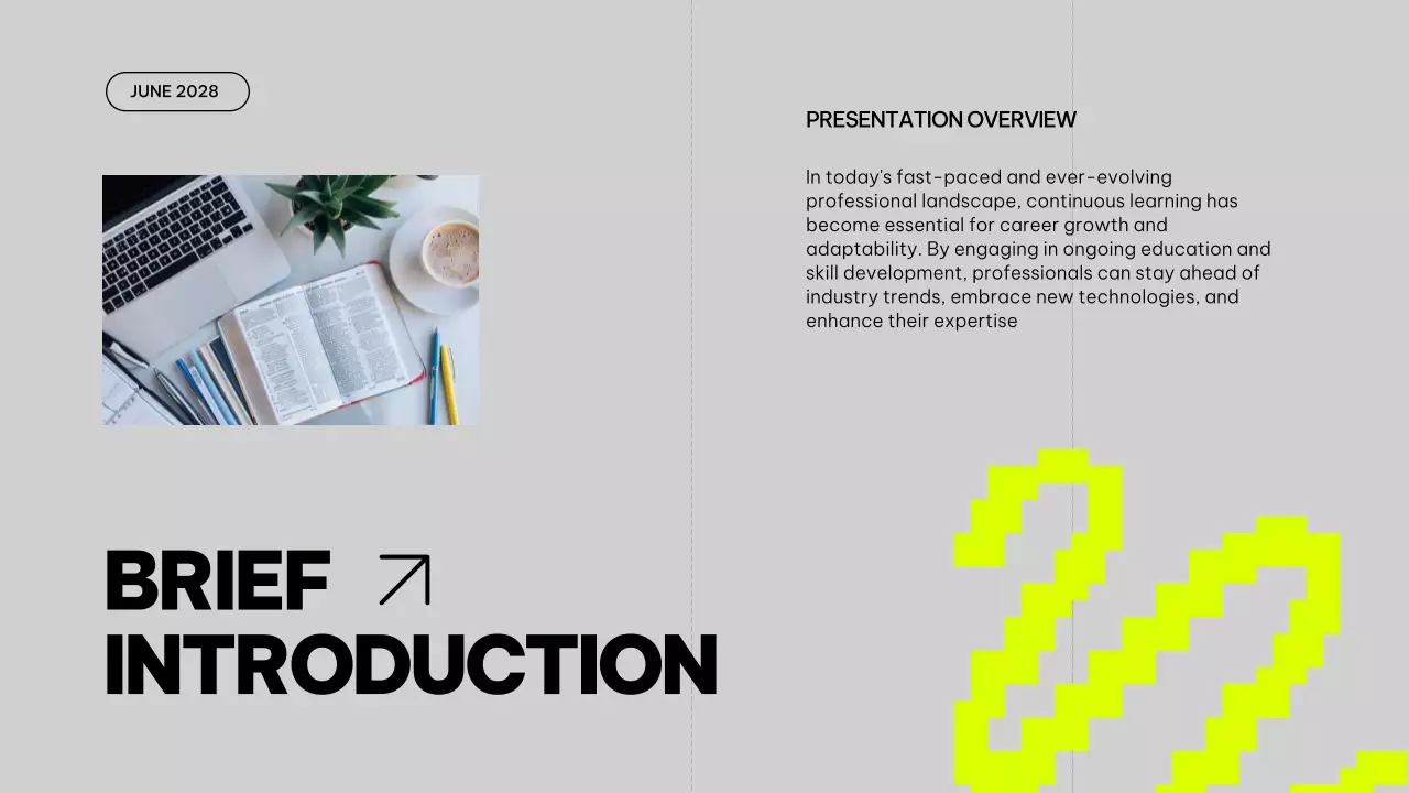 Grey Modern Professional Guide Presentation