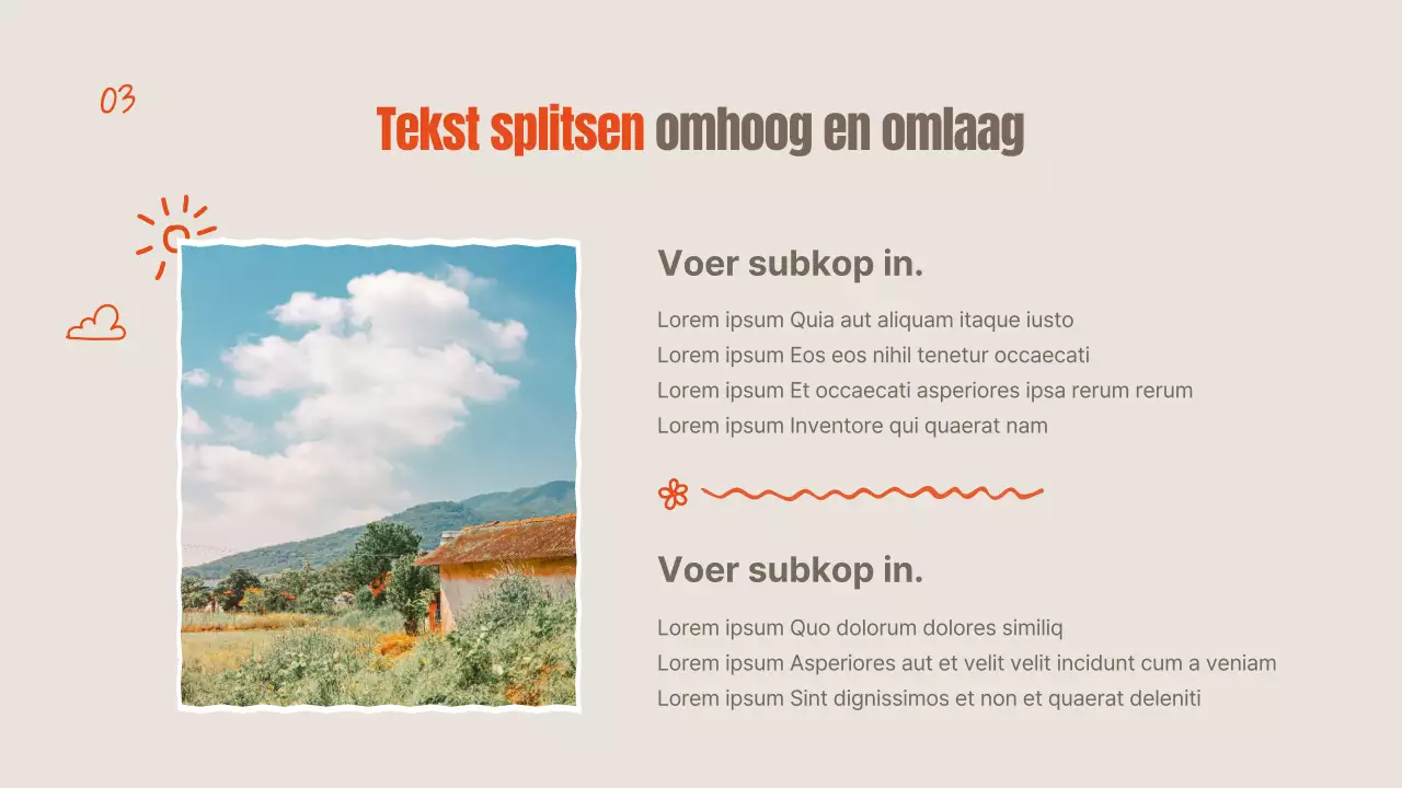 Oranje en ivoorkleurige zomerbloemen uitgelegd