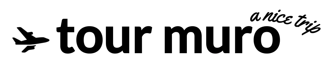 필기체와 비행기 실루엣의 여행사 로고용