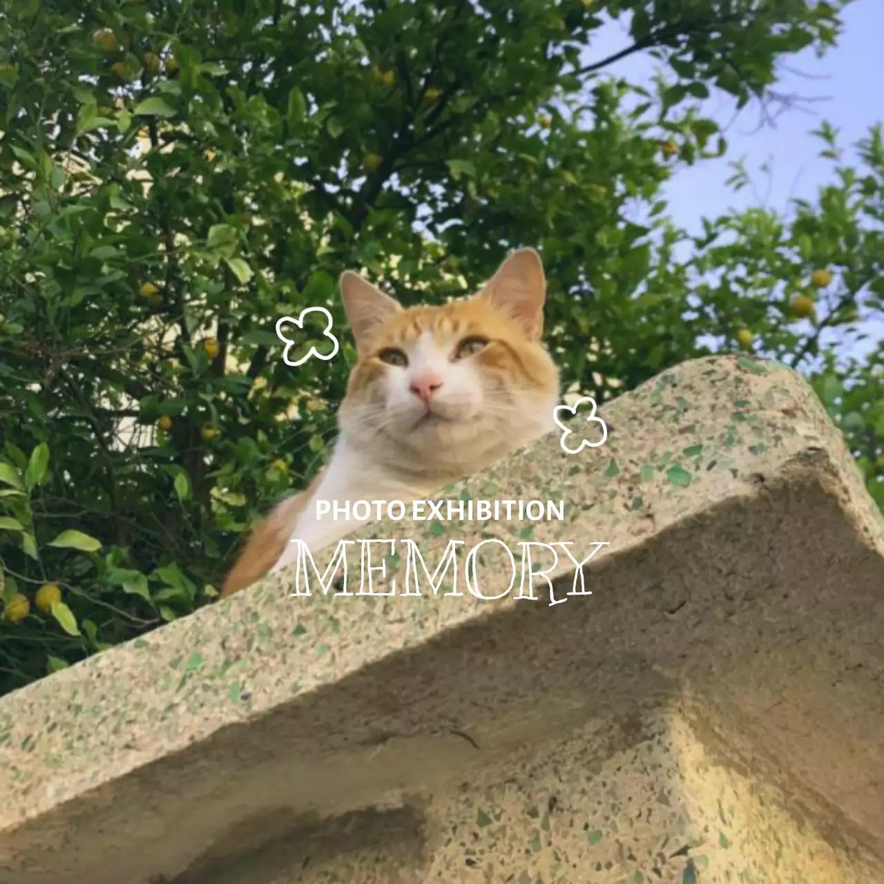 감성적인 사진과 레터링 문구 컨셉의 사진전 전시회 굿즈