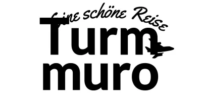 Für Reisebüro-Logos mit kursiven Schriftzeichen und Flugzeugsilhouetten