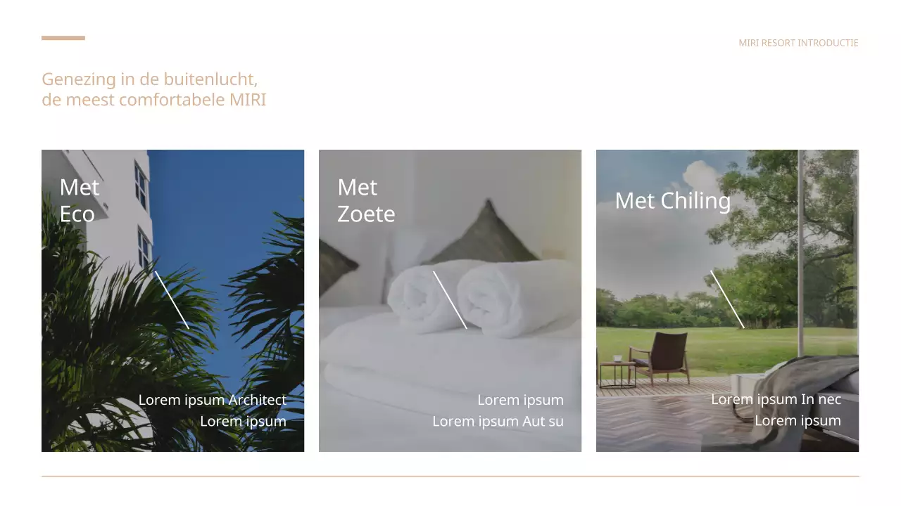 Een eenvoudige bruin-witte prospectus voor een resort