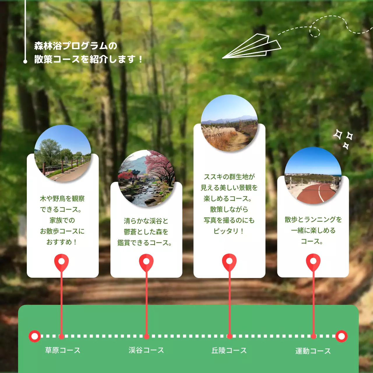 緑 ナチュラル 森林浴 パンフレット Instagram カルーセル