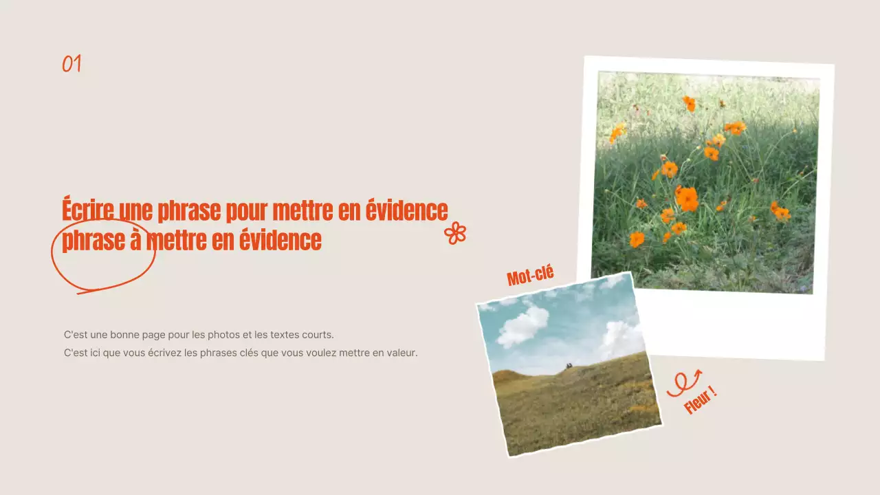 Fleurs d'été orange et ivoire expliquées