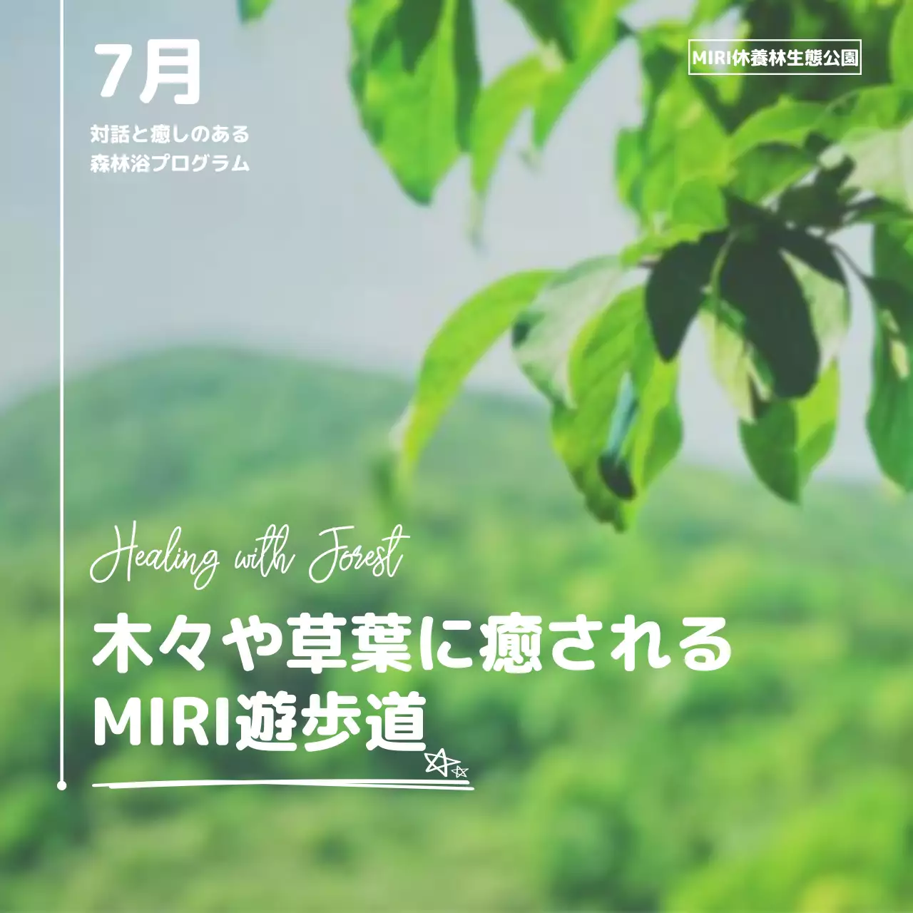 緑 ナチュラル 森林浴 パンフレット Instagram カルーセル