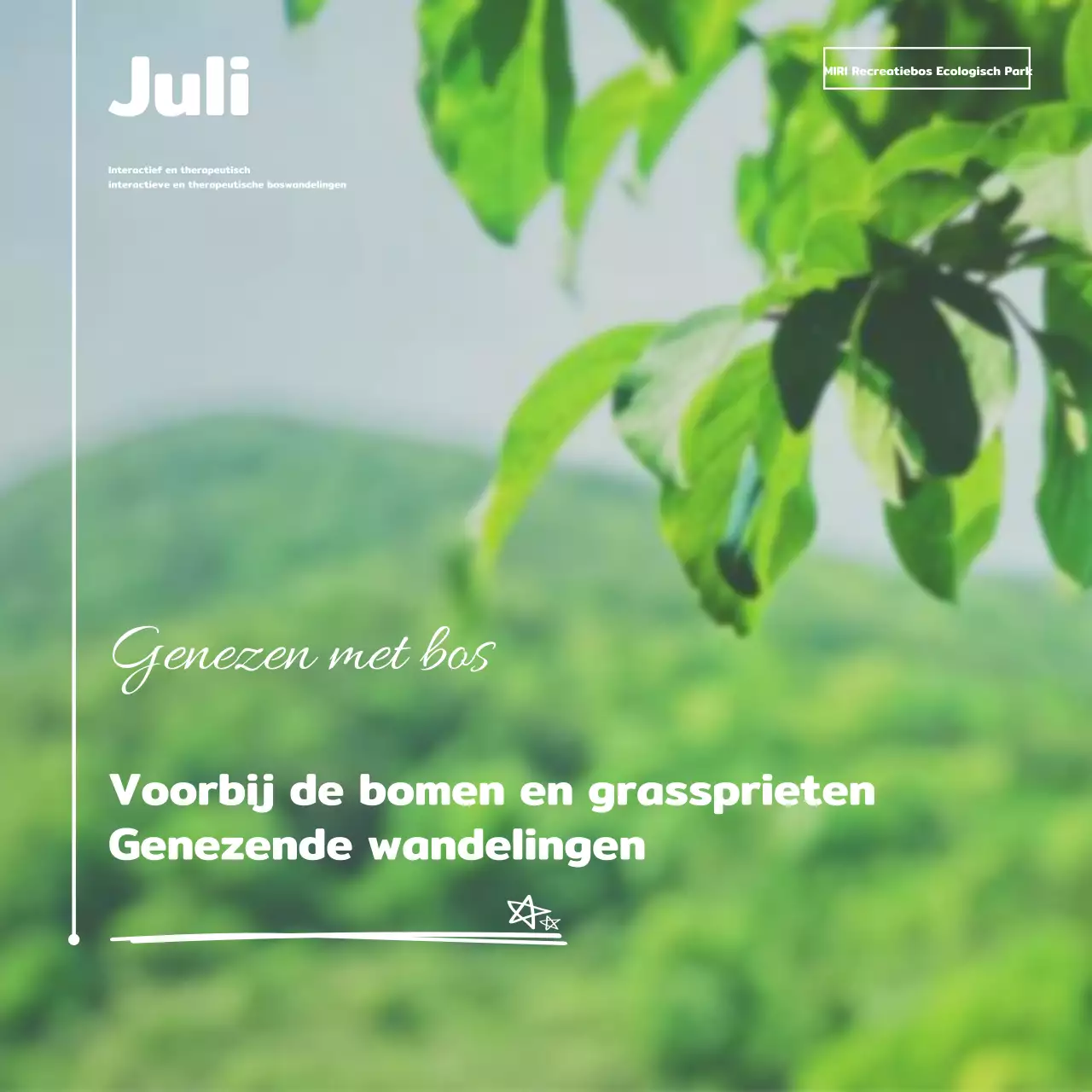 Groene Natuur Wandelingen Wervingsgids