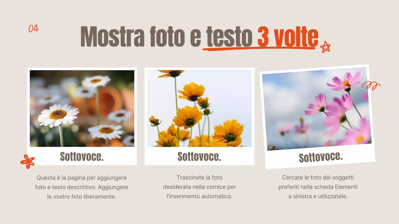 Fiori estivi arancioni e avorio spiegati