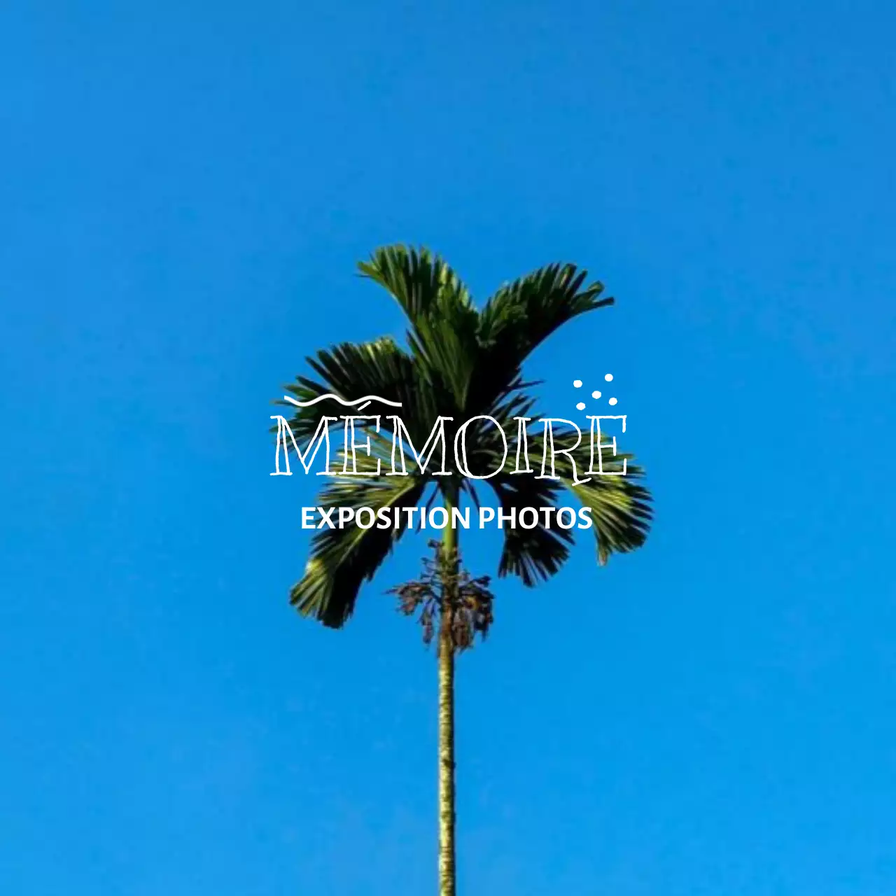 Exposition de photos et de marchandises avec des concepts de photographie et de lettrage émotionnels