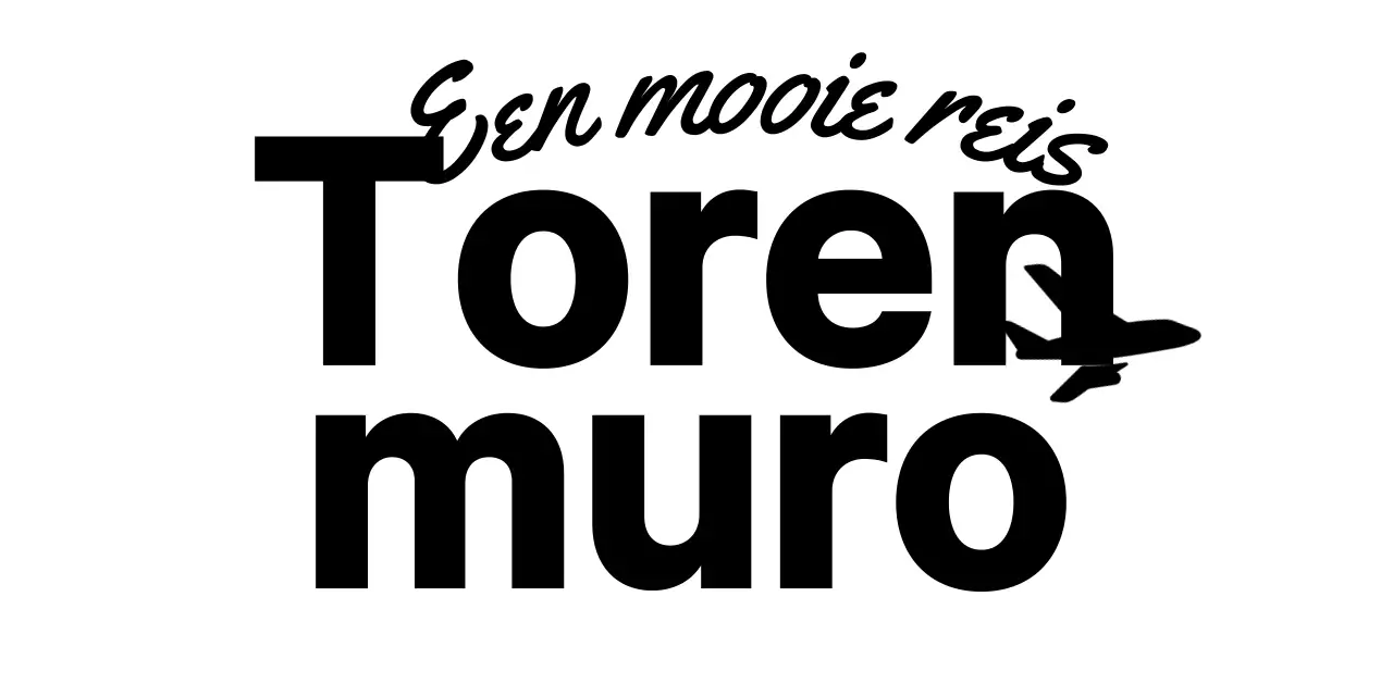 Voor logo's van reisbureaus met cursief schrift en silhouetten van vliegtuigen