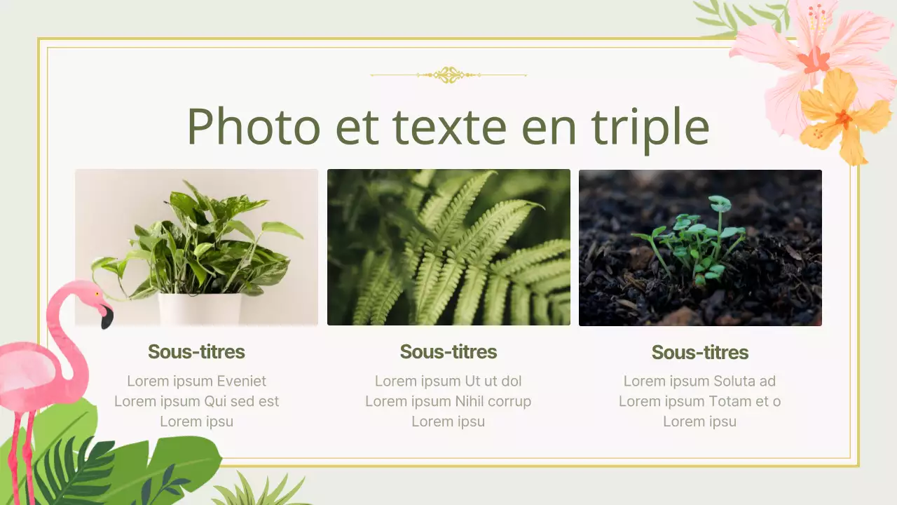 Guide des toiles de fond estivales inspirées par la nature, en chartreuse et en rose