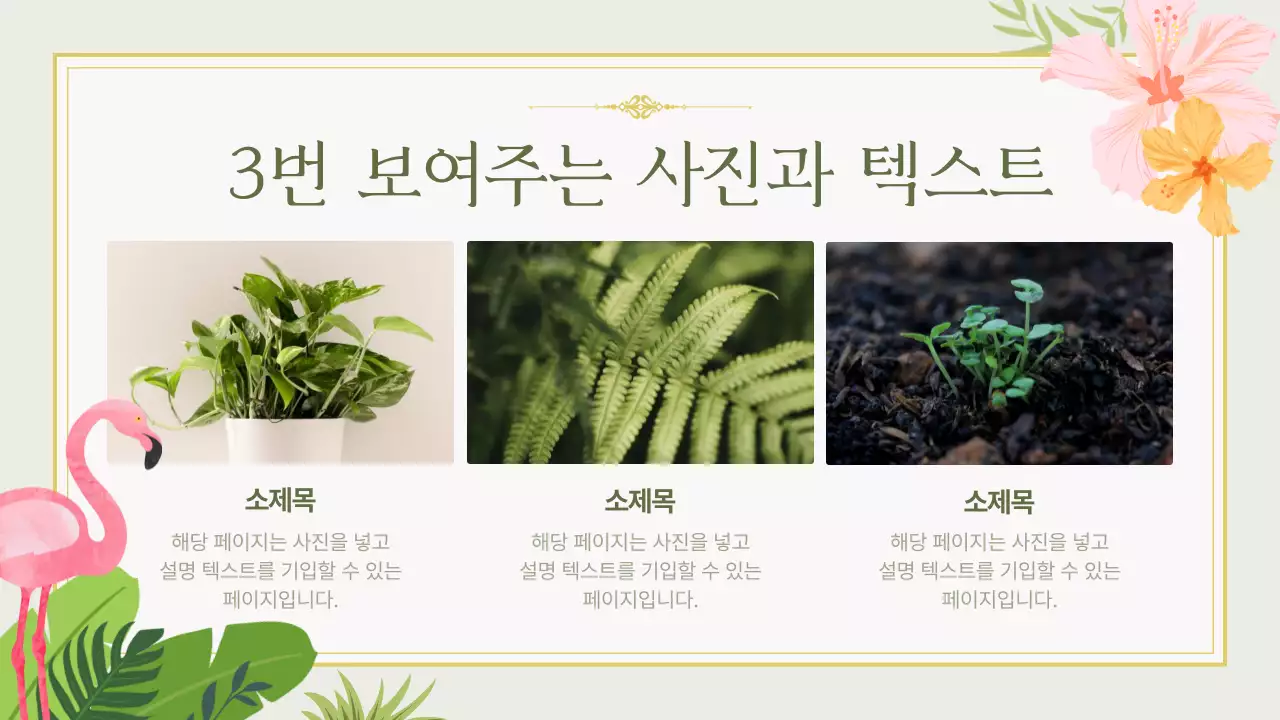 연두색과 핑크색의 자연느낌 여름배경 안내서