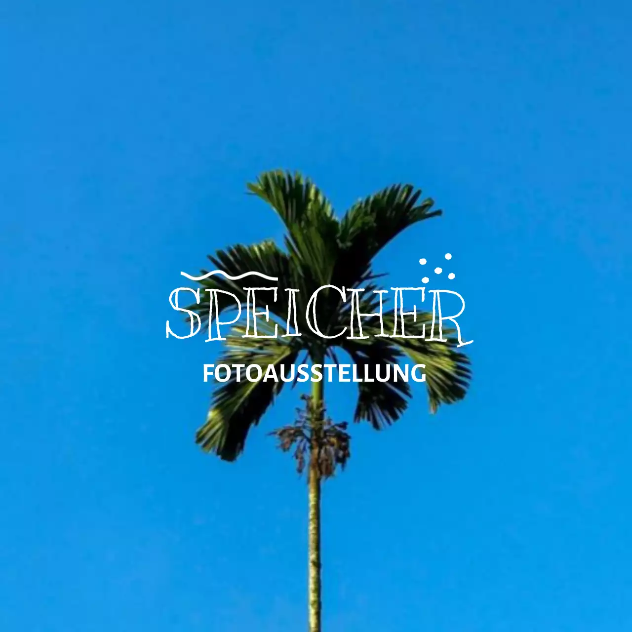 Fotoausstellungsware mit emotionalen Fotografie- und Beschriftungskonzepten