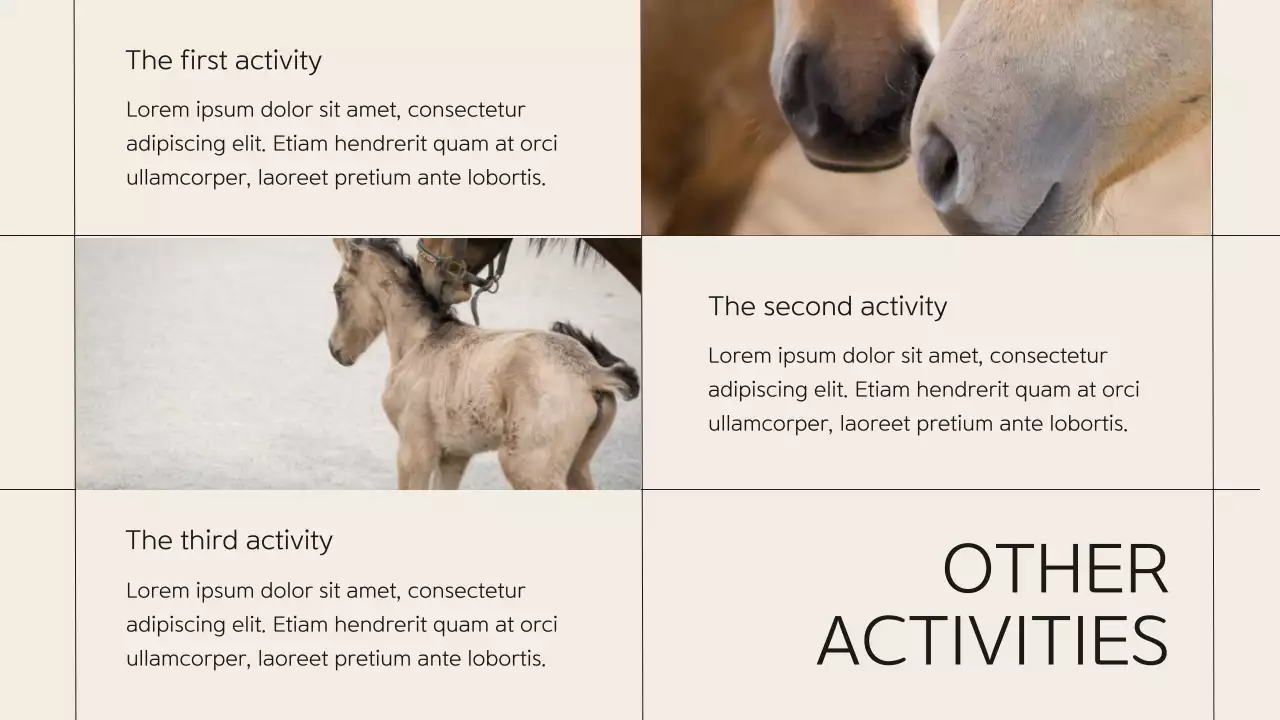 Beige Classic Horse Club Guide Presentation