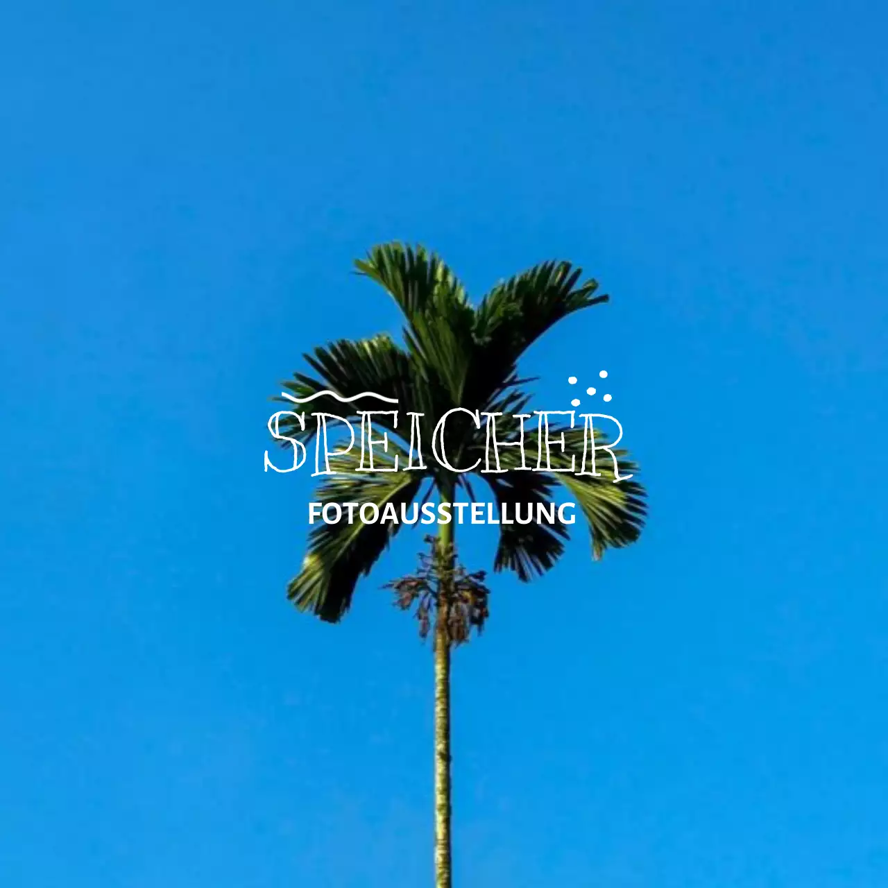 Fotoausstellungsware mit emotionalen Fotografie- und Beschriftungskonzepten