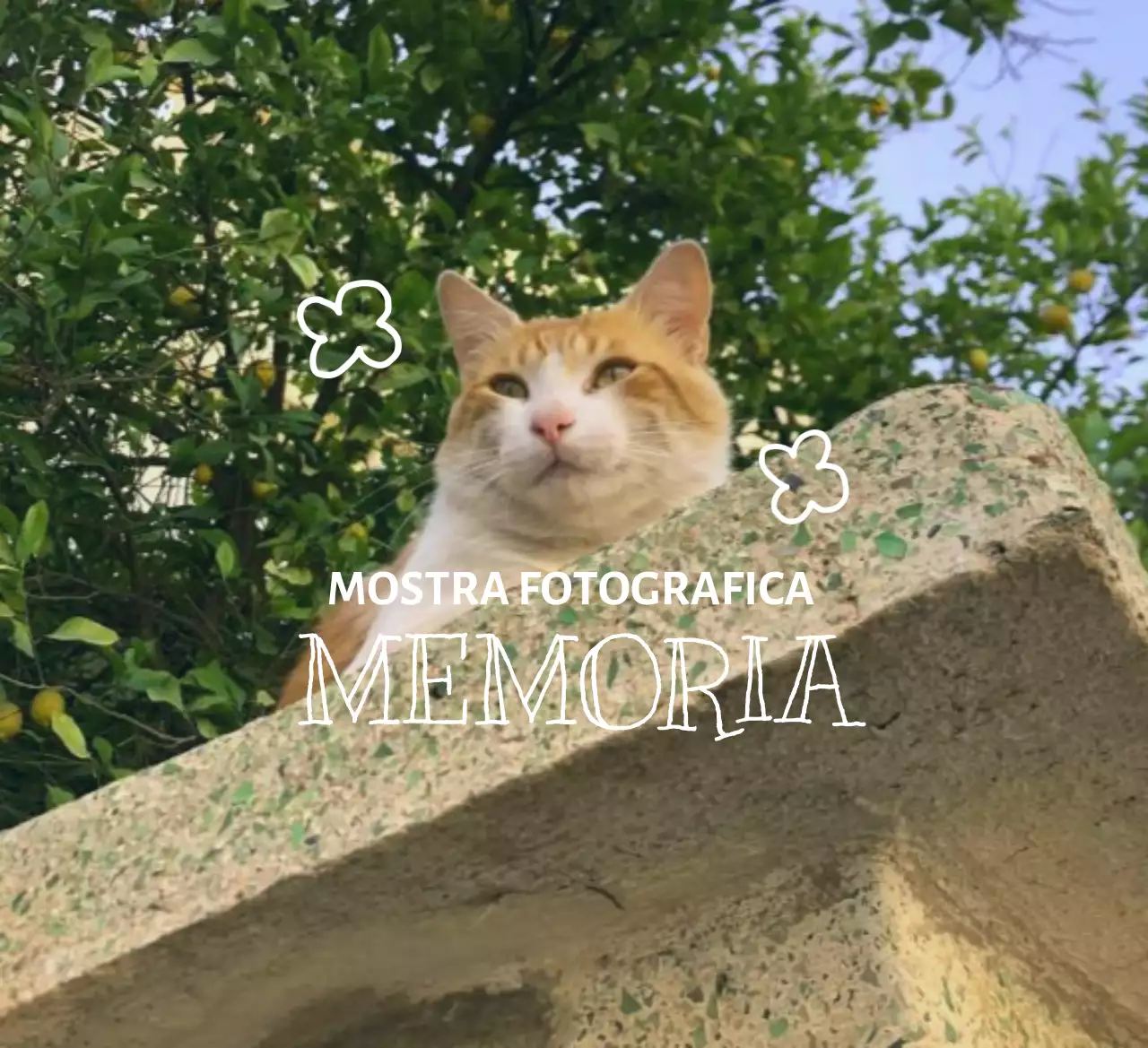 Merchandising per mostre fotografiche con fotografia emozionale e concetti di lettering