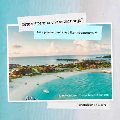 Een gids voor tropische vakanties in lichtblauw en wit