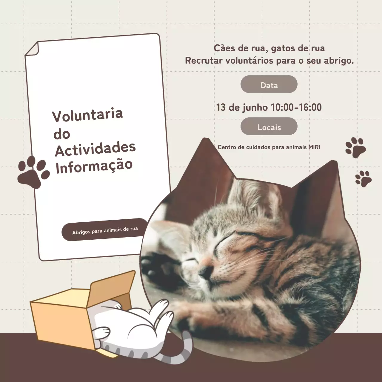 Promover o recrutamento de voluntários para o abrigo bege e castanho.