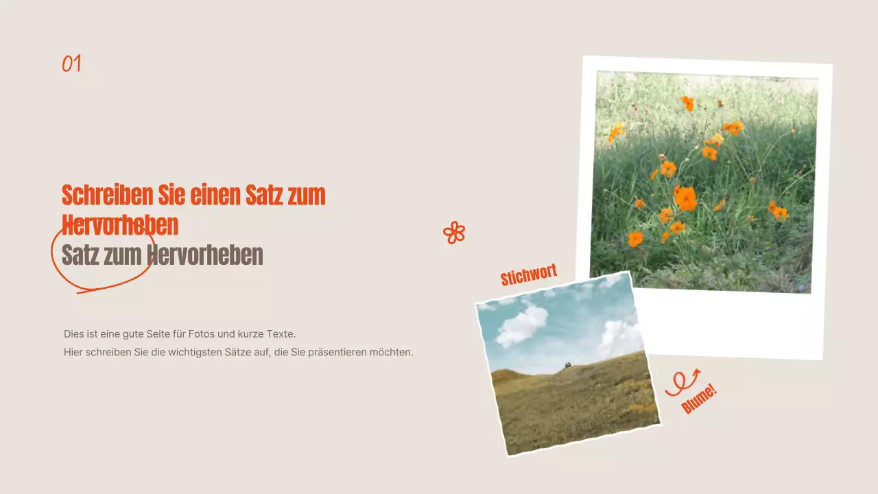 Orangefarbene und elfenbeinfarbene Sommerblumen erklärt