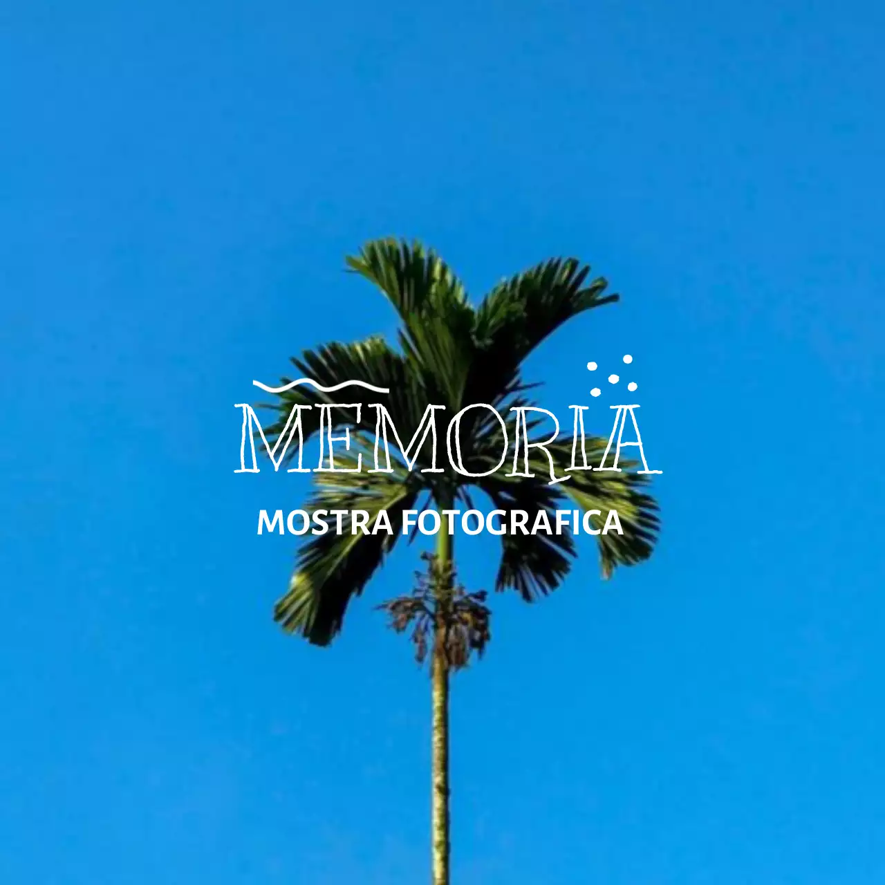 Merchandising per mostre fotografiche con fotografia emozionale e concetti di lettering