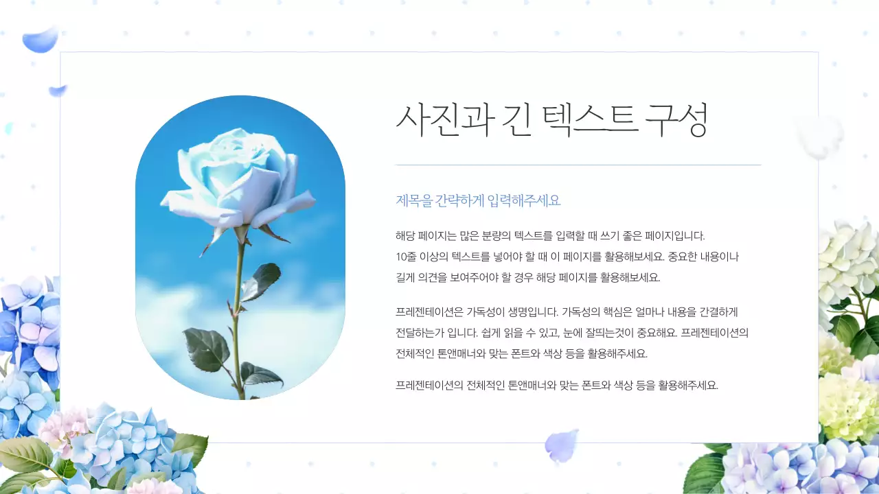흰색의 고급스러운 여름의 수국 기획서