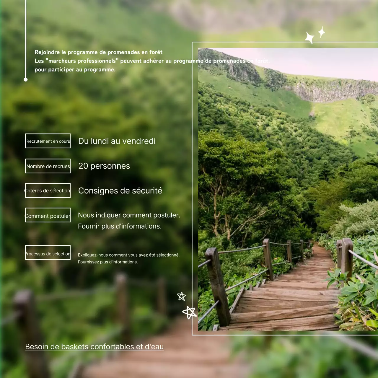 Guide de recrutement pour les promenades dans la nature