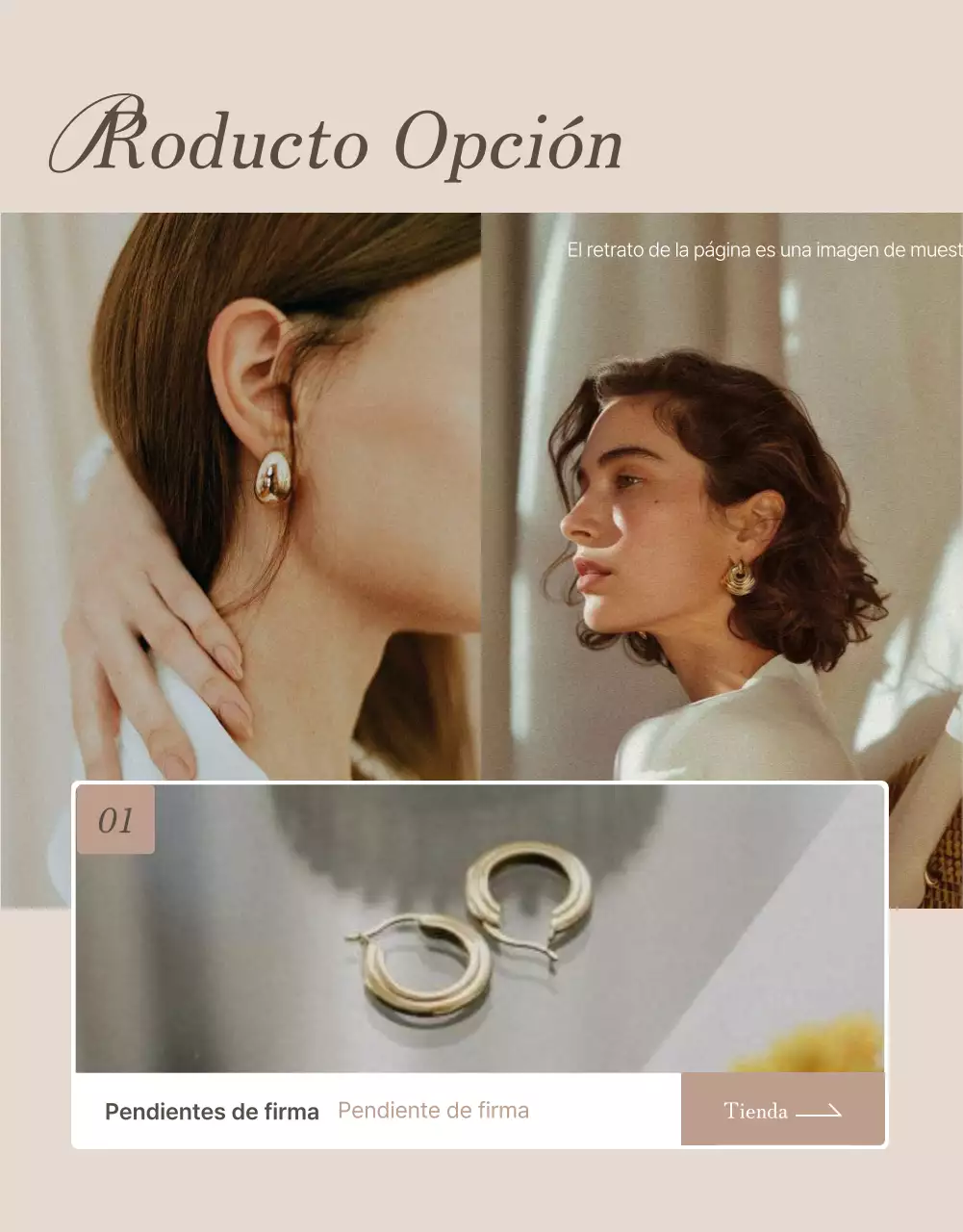Promocione las descripciones de las joyas y las páginas de detalles en marrones y beiges de moda.