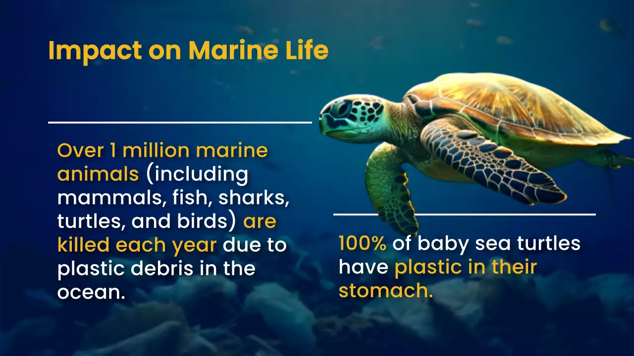 Blue Modern Ocean Guide Presentation