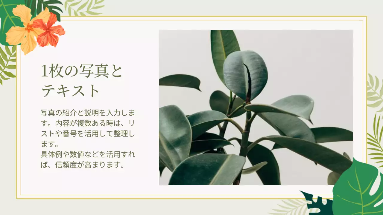 緑 トロピカル 資料 プレゼンテーション