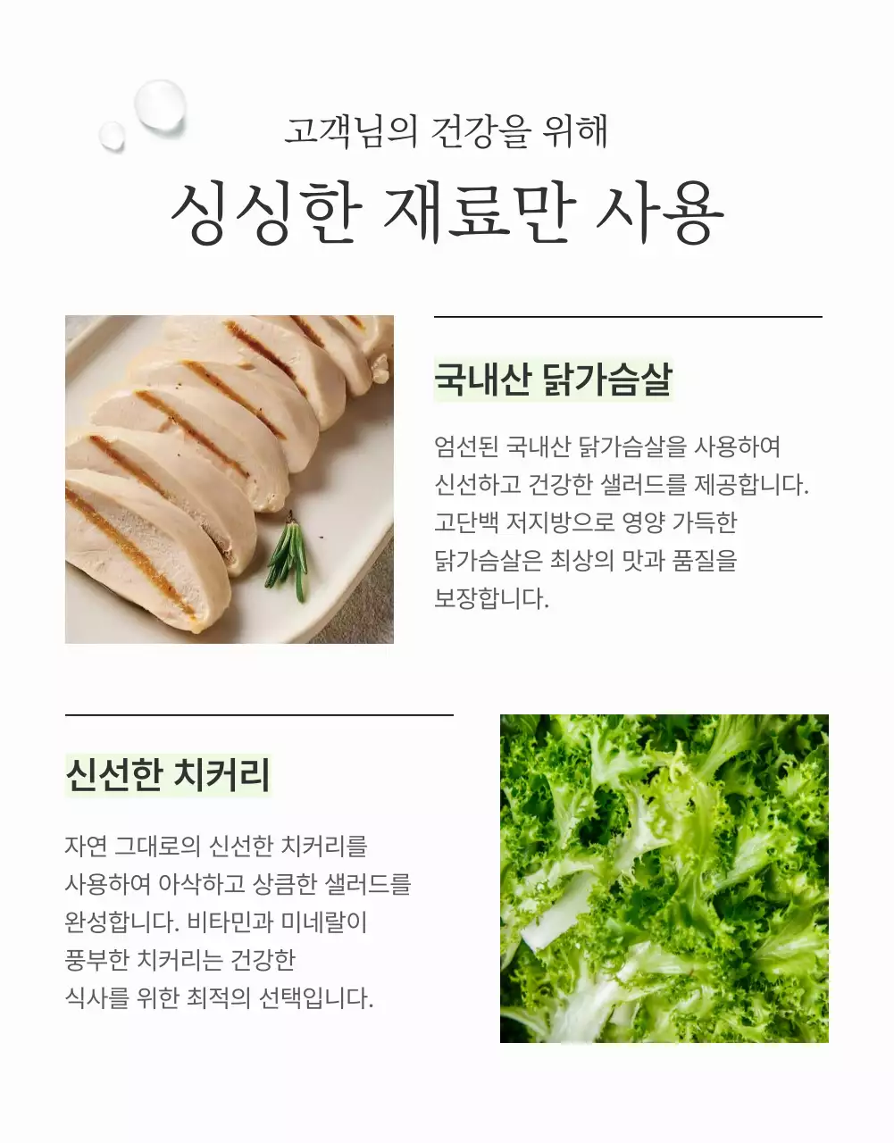 흰색과 연두의 심플한 샐러드 디테일 설명 홍보