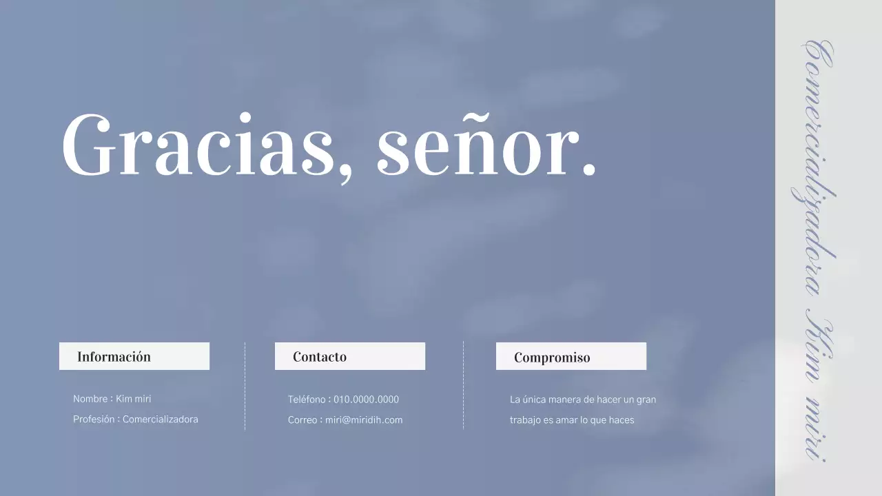 Cartera de trabajo profesional azul marino