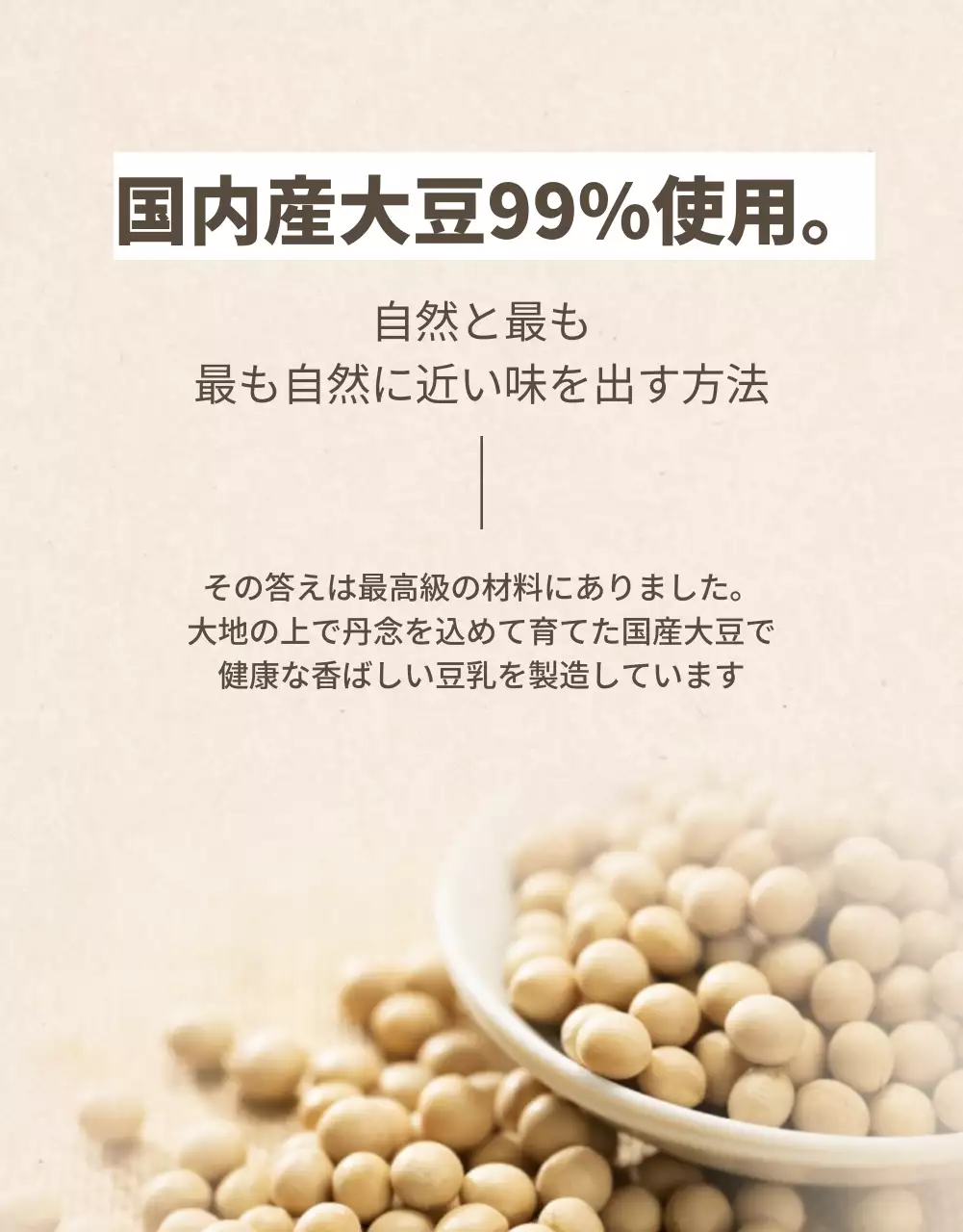 アイボリー シンプル 豆乳 パンフレット 詳細ページ