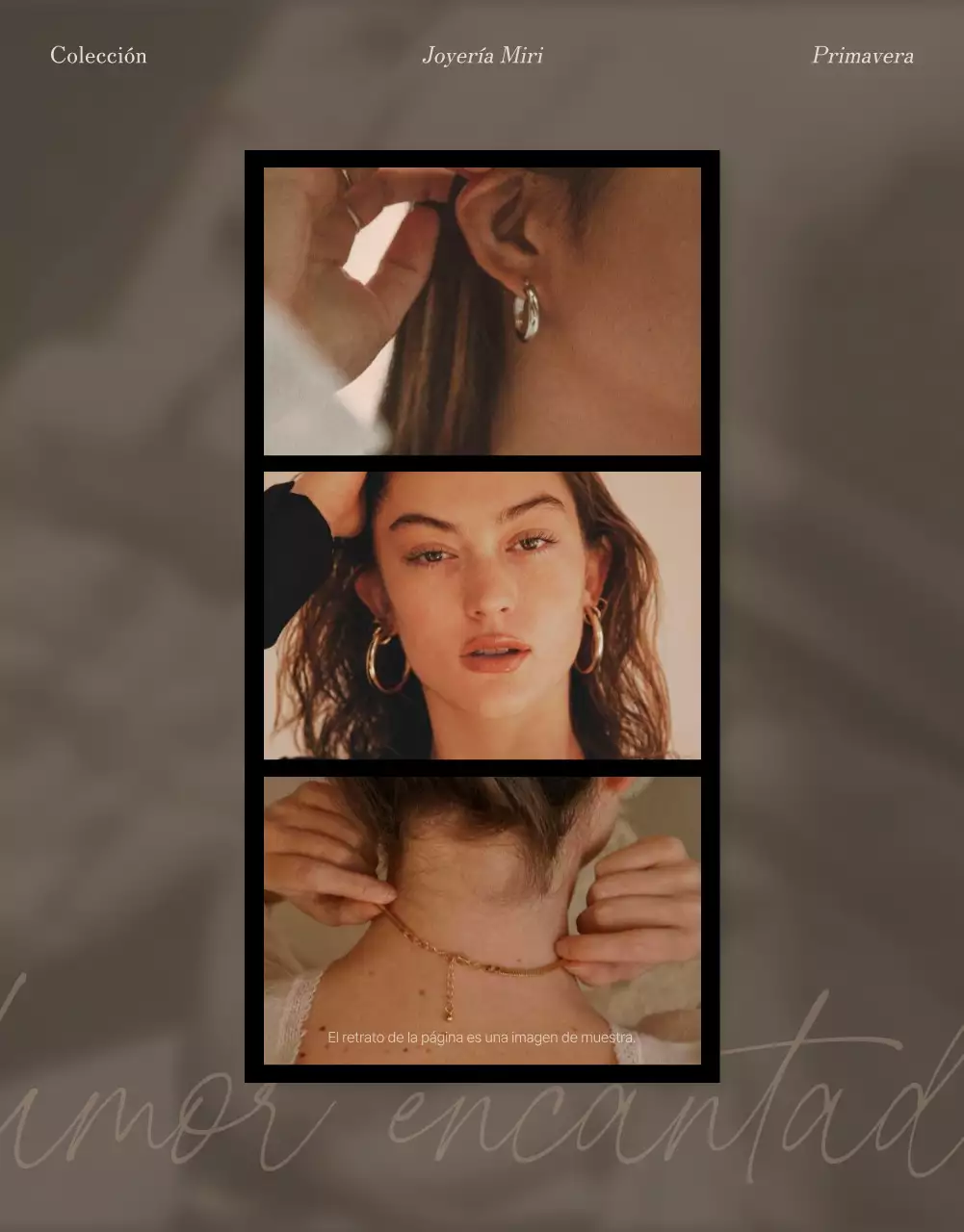 Promociona tu página con un moderno diseño fotográfico de joyas en tonos marrones y beige