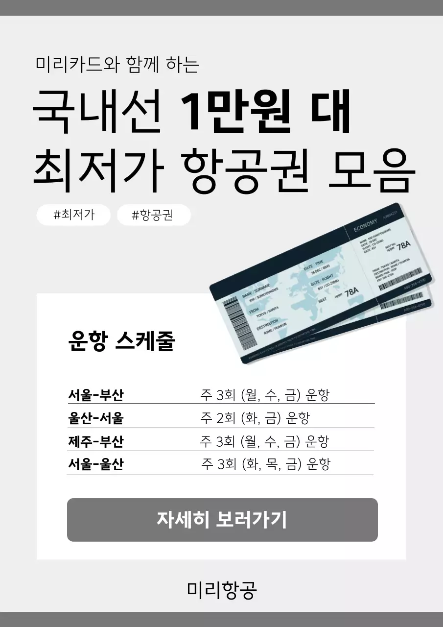 회색과 검정의 심플한 최저가 항공 광고