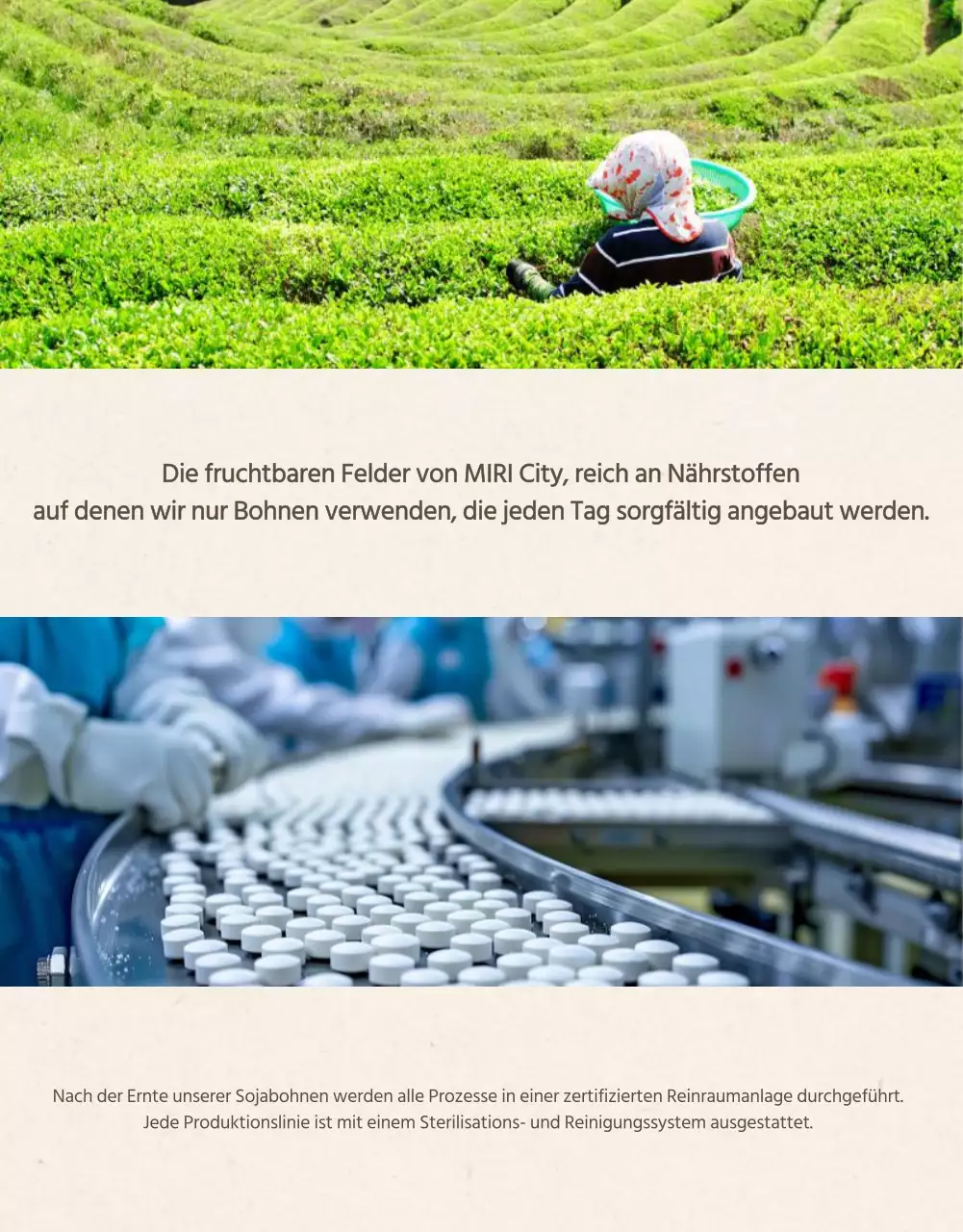 Werbung für Sojamilch im modernen Stil in Beige und Khaki