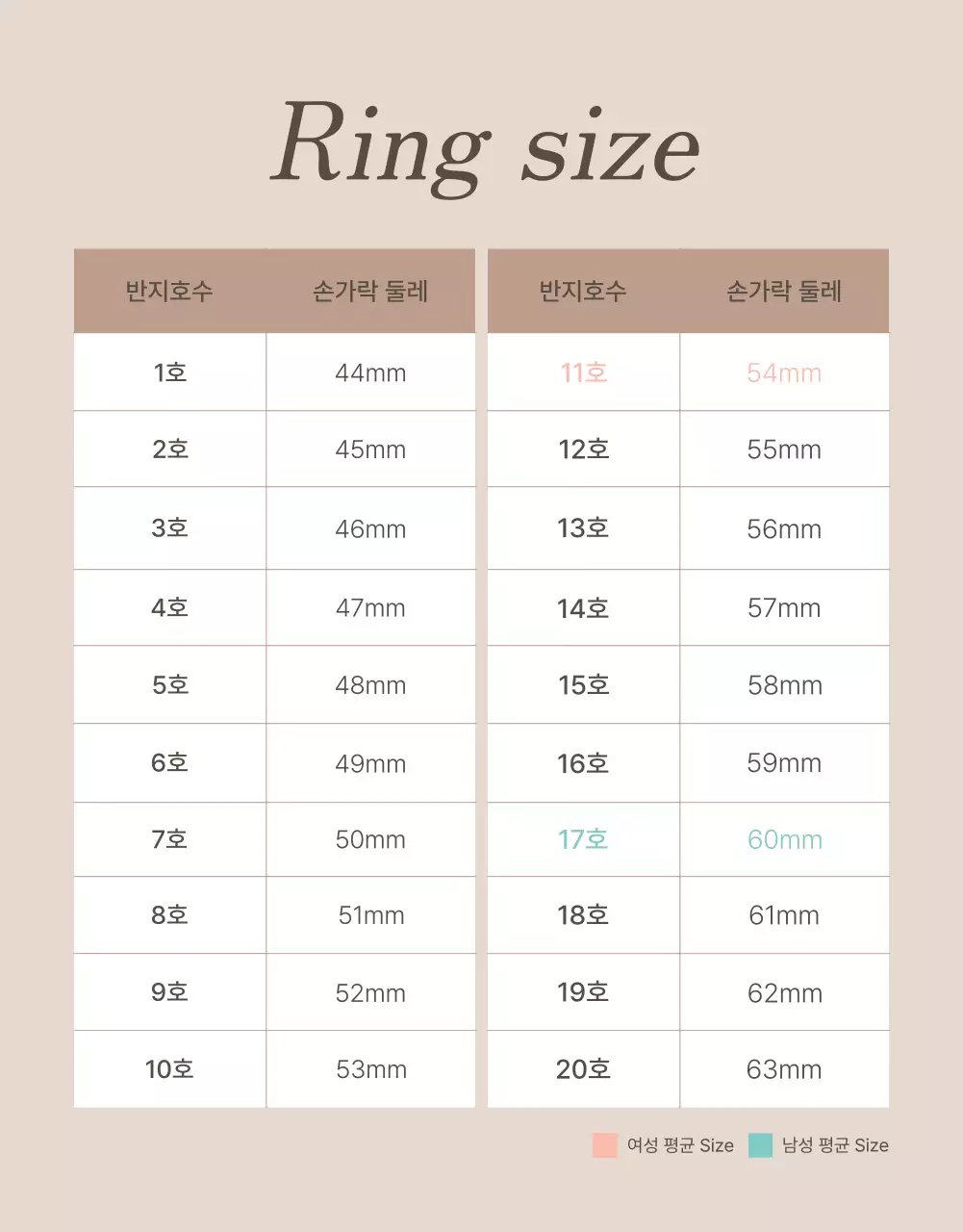 갈색과 베이지색의 트렌드한 주얼리 체크포인트 페이지 홍보