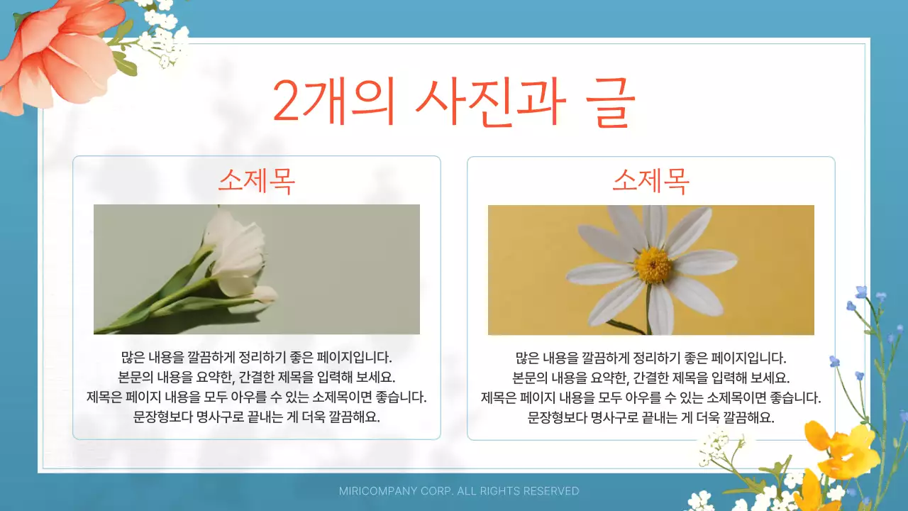 흰색과 주황색의 아기자기한 여름꽃 안내서