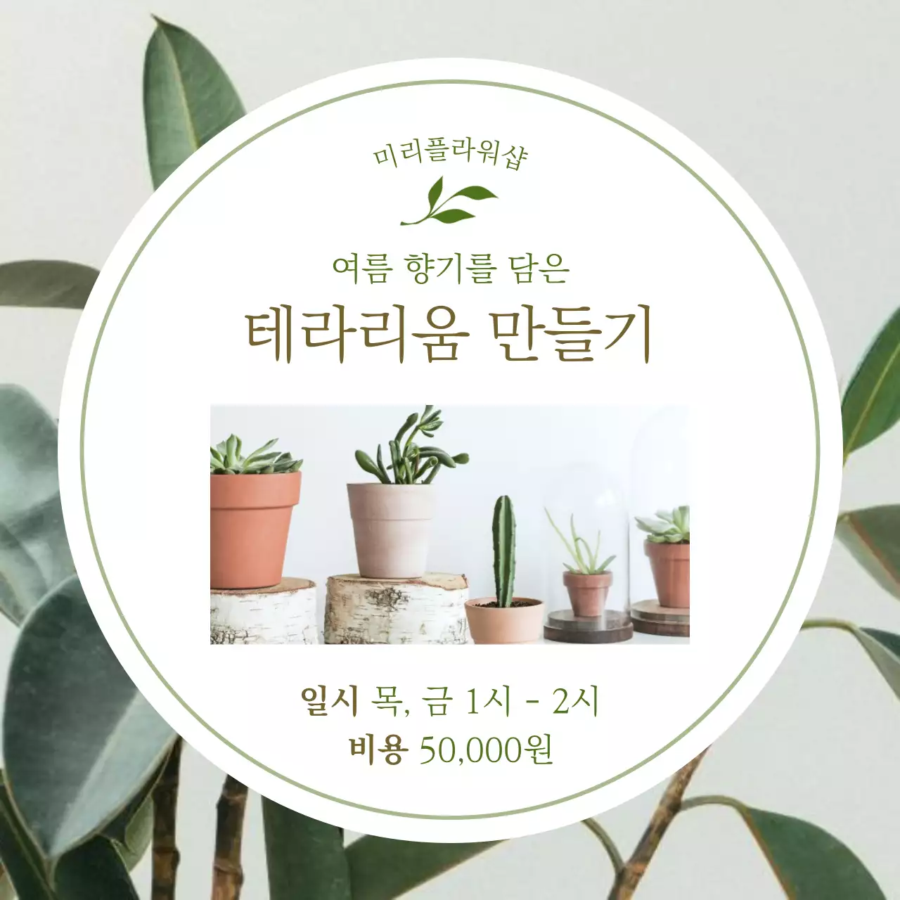 흰색과 초록의 모던한 여름 소품 클래스 게시글