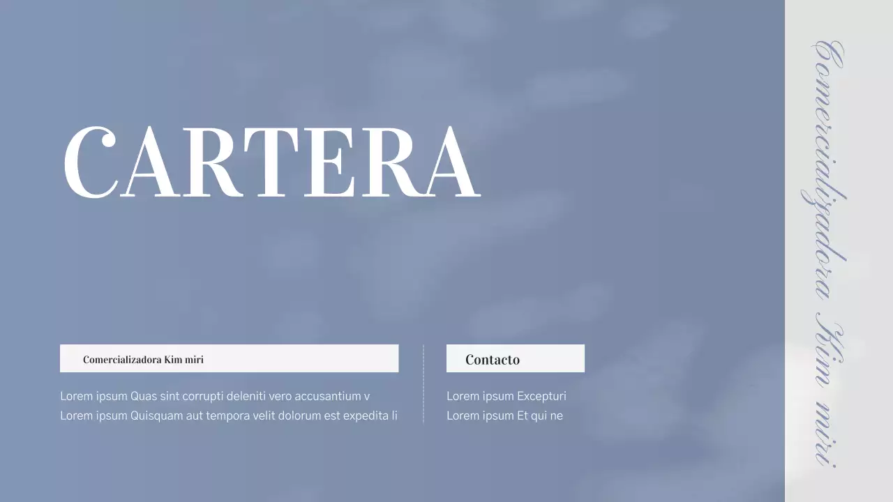 Cartera de trabajo profesional azul marino