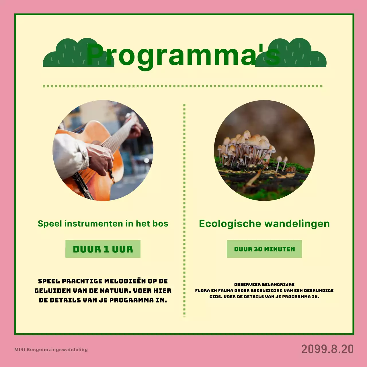 Het roze wandelprogramma promoten