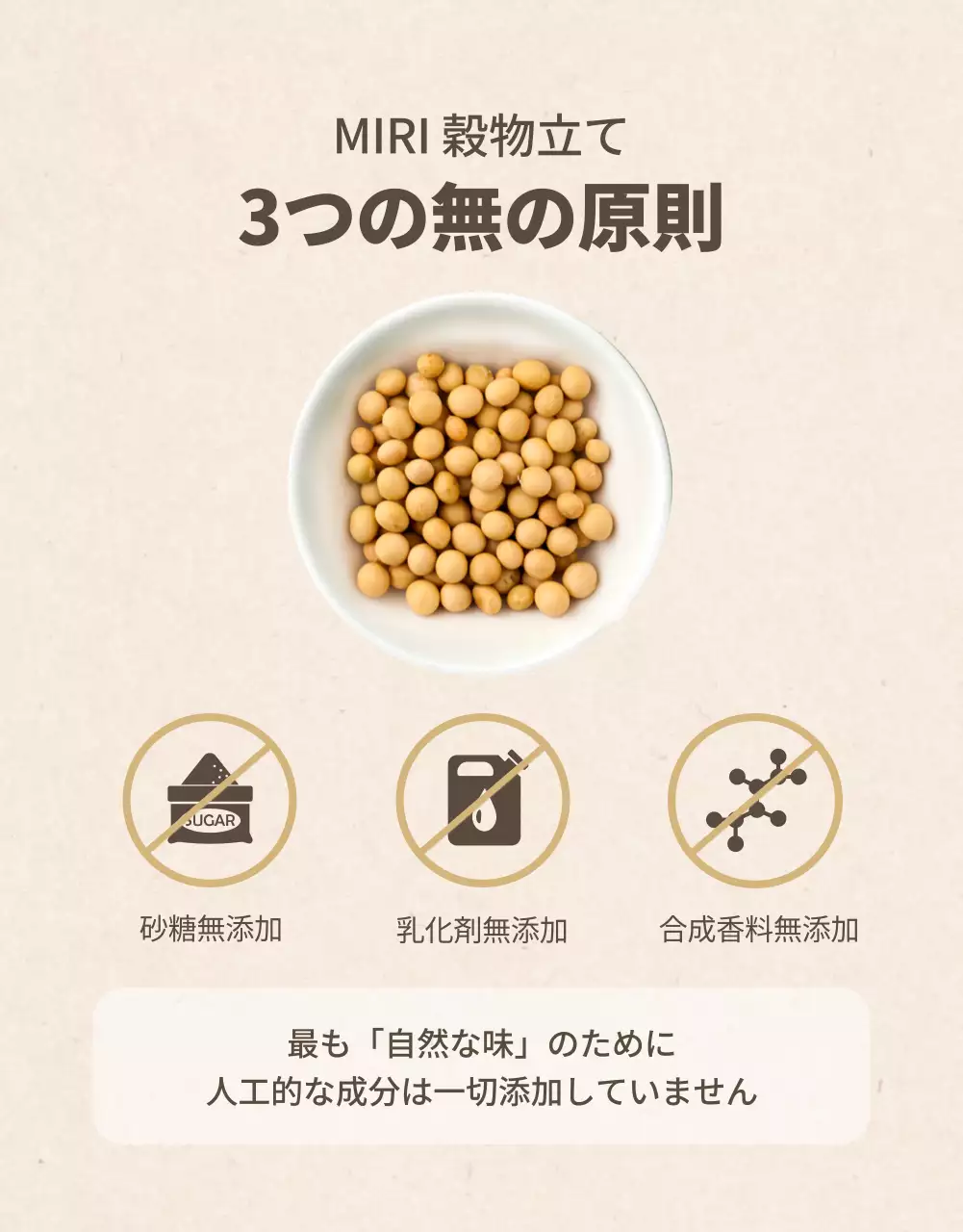 アイボリー シンプル 豆乳 パンフレット 詳細ページ