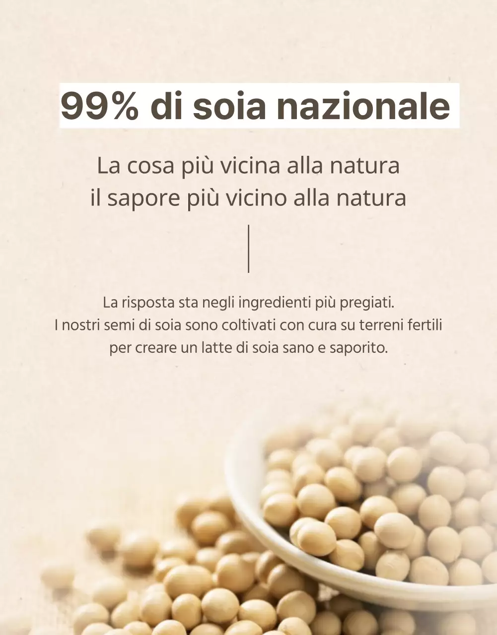 Promozione del latte di soia in stile moderno nei colori beige e kaki