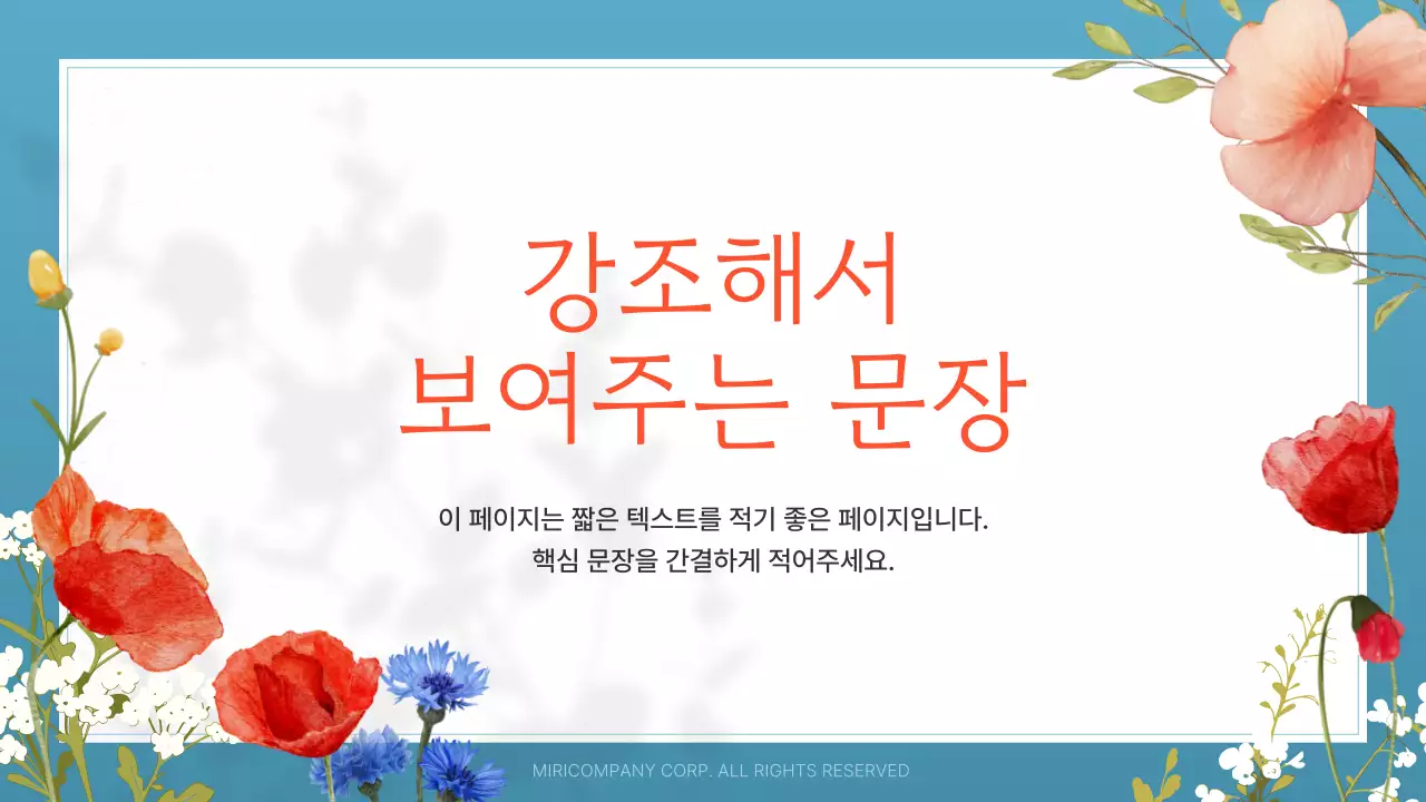 흰색과 주황색의 아기자기한 여름꽃 안내서