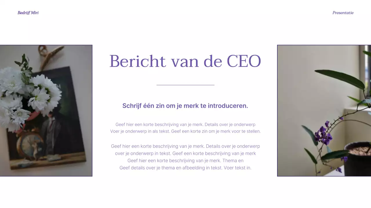 Een luxe merkintroductie in paars