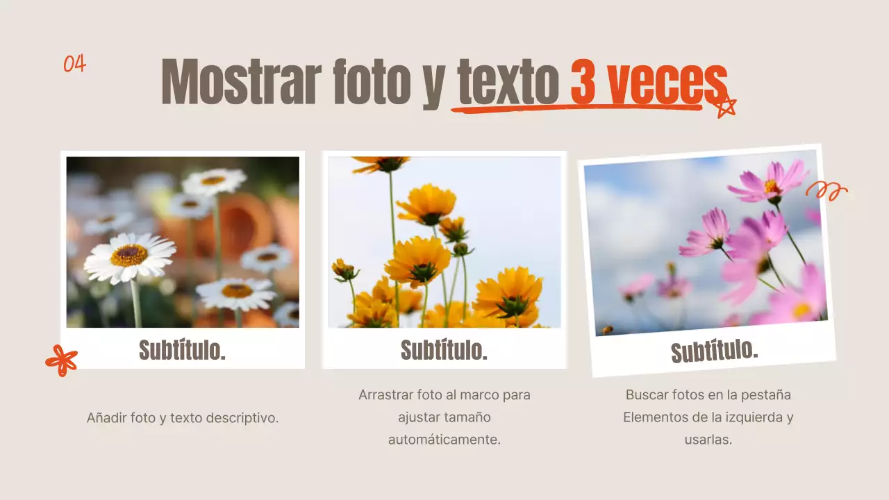 Explicación de las flores de verano de color naranja y marfil