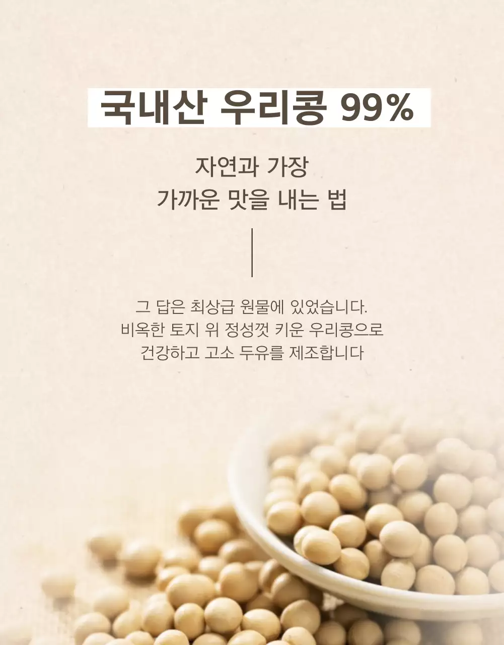 베이지색과 카키색의 모던 스타일 두유 홍보